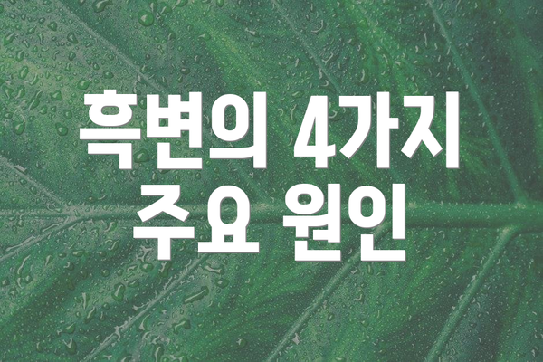 흑변의 4가지 주요 원인