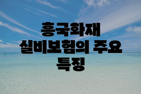 흥국화재 실비보험의 주요 특징