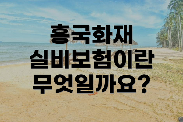 흥국화재 실비보험이란 무엇일까요?