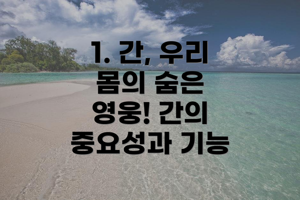 1. 간, 우리 몸의 숨은 영웅! 간의 중요성과 기능