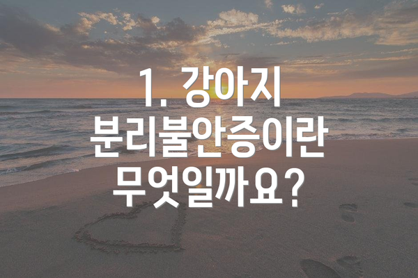 1. 강아지 분리불안증이란 무엇일까요?