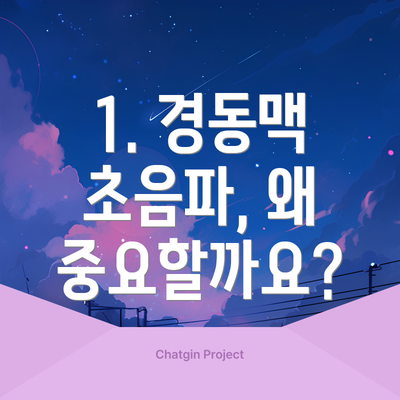 1. 경동맥 초음파, 왜 중요할까요?