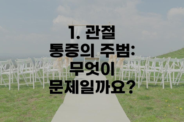 1. 관절 통증의 주범: 무엇이 문제일까요?