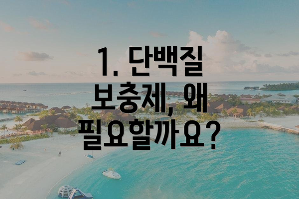 1. 단백질 보충제, 왜 필요할까요?