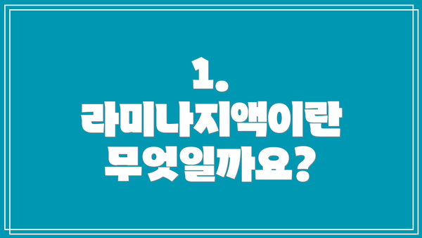 1. 라미나지액이란 무엇일까요?