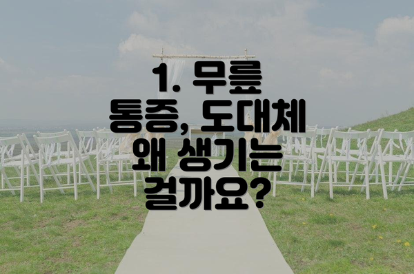 1. 무릎 통증, 도대체 왜 생기는 걸까요?