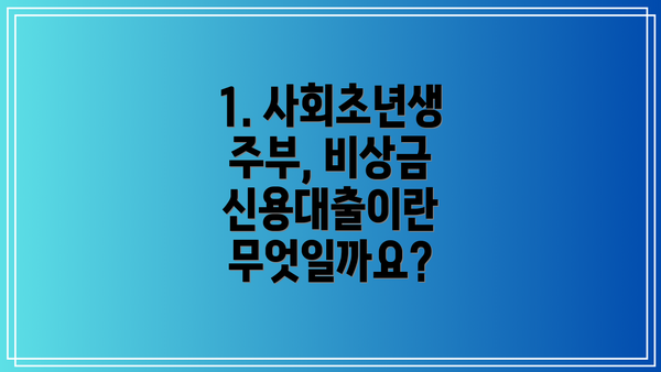 1. 사회초년생 주부, 비상금 신용대출이란 무엇일까요?