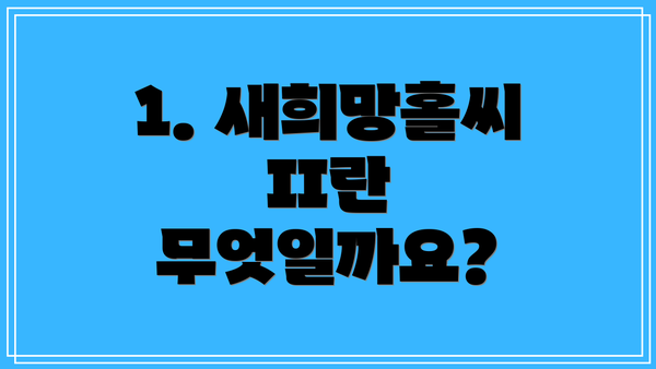 1. 새희망홀씨 II란 무엇일까요?