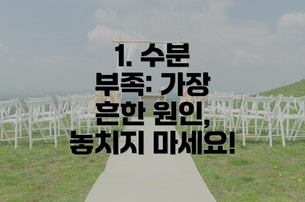 1. 수분 부족: 가장 흔한 원인, 놓치지 마세요!