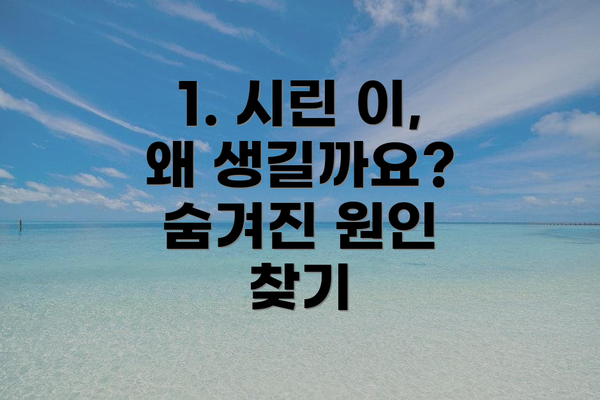 1. 시린 이, 왜 생길까요?  숨겨진 원인 찾기