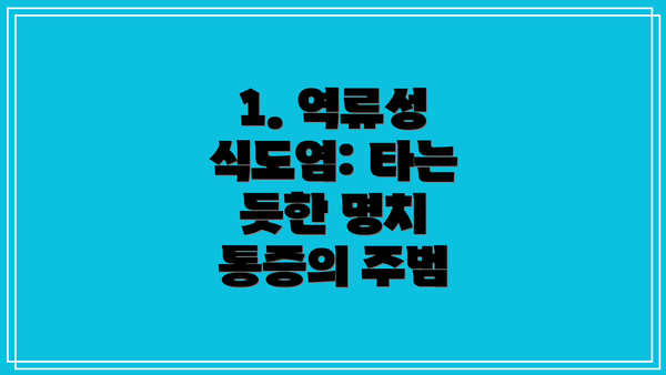 1. 역류성 식도염: 타는 듯한 명치 통증의 주범