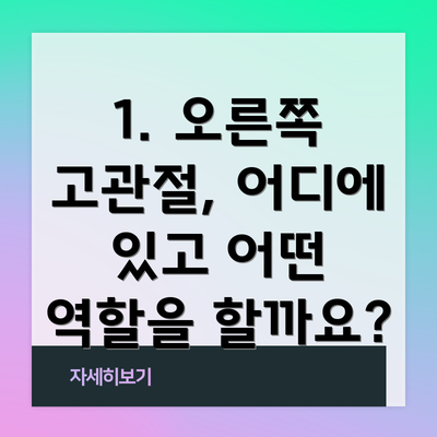 1. 오른쪽 고관절, 어디에 있고 어떤 역할을 할까요?