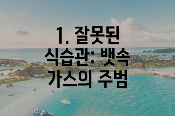 1. 잘못된 식습관: 뱃속 가스의 주범