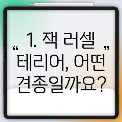 1. 잭 러셀 테리어, 어떤 견종일까요?