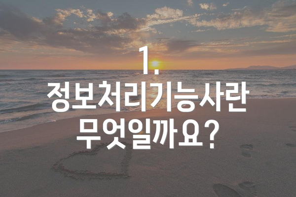 1. 정보처리기능사란 무엇일까요?