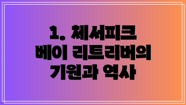 1. 체서피크 베이 리트리버의 기원과 역사