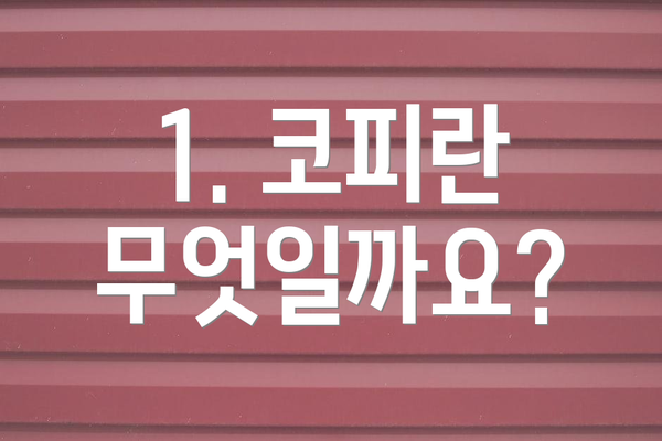 1. 코피란 무엇일까요?