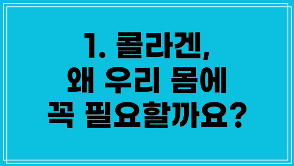1. 콜라겐, 왜 우리 몸에 꼭 필요할까요?