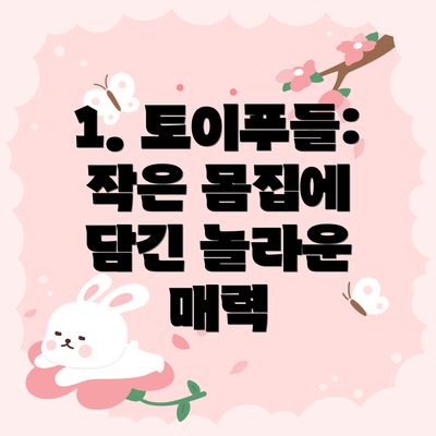 1. 토이푸들: 작은 몸집에 담긴 놀라운 매력