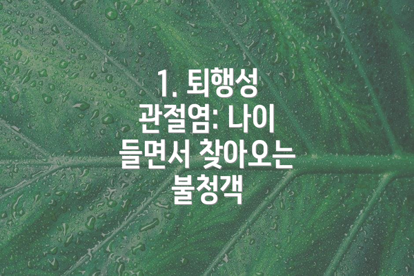 1. 퇴행성 관절염: 나이 들면서 찾아오는 불청객