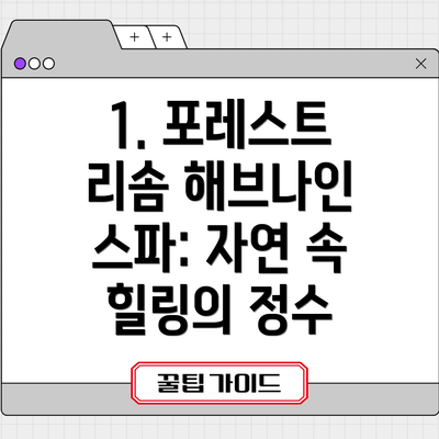 1. 포레스트 리솜 해브나인 스파: 자연 속 힐링의 정수