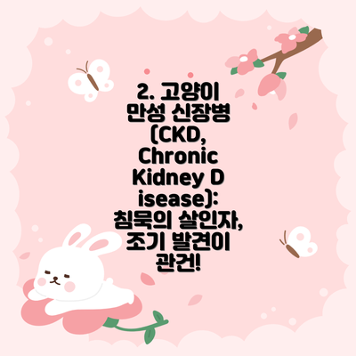 2. 고양이 만성 신장병 (CKD, Chronic Kidney Disease): 침묵의 살인자, 조기 발견이 관건!