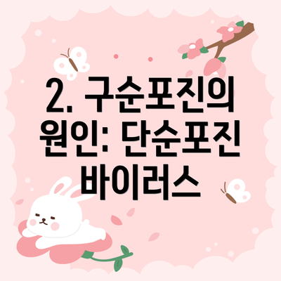 2. 구순포진의 원인: 단순포진 바이러스