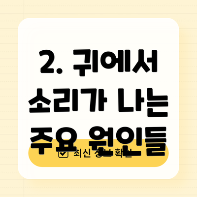 2. 귀에서 소리가 나는 주요 원인들