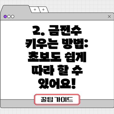 2. 금전수 키우는 방법: 초보도 쉽게 따라 할 수 있어요!