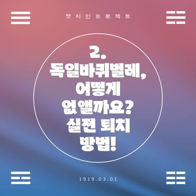 2. 독일바퀴벌레, 어떻게 없앨까요?  실전 퇴치 방법!