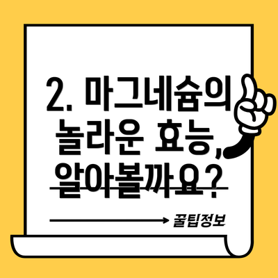 2. 마그네슘의 놀라운 효능, 알아볼까요?