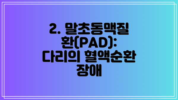 2. 말초동맥질환(PAD): 다리의 혈액순환 장애