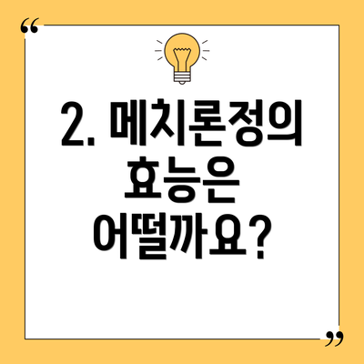 2. 메치론정의 효능은 어떨까요?