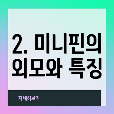 2. 미니핀의 외모와 특징