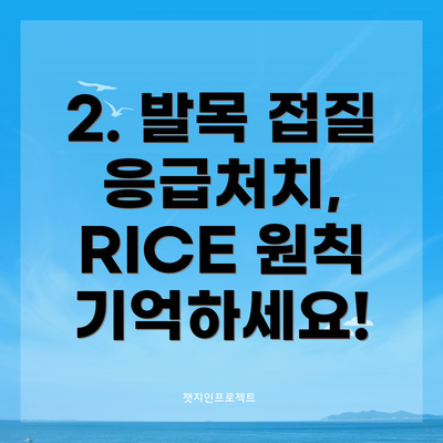 2. 발목 접질 응급처치, RICE 원칙 기억하세요!