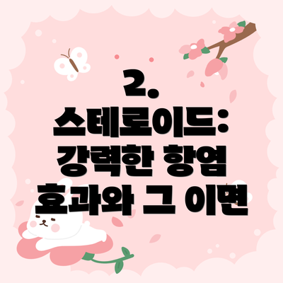 2. 스테로이드: 강력한 항염 효과와 그 이면