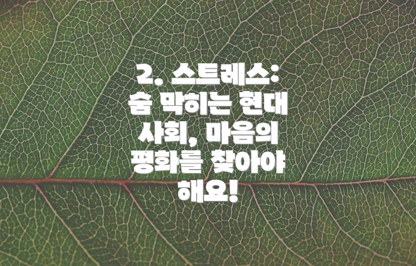 2. 스트레스: 숨 막히는 현대 사회, 마음의 평화를 찾아야 해요!