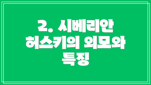 2. 시베리안 허스키의 외모와 특징
