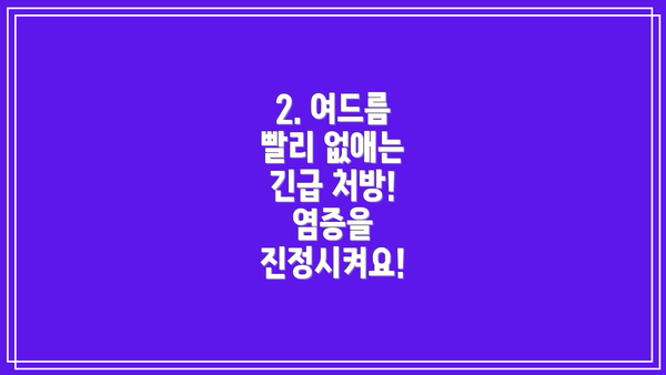 2. 여드름 빨리 없애는 긴급 처방! 염증을 진정시켜요!