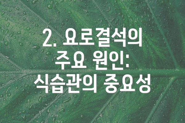 2. 요로결석의 주요 원인: 식습관의 중요성