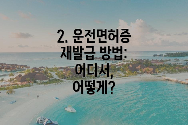 2. 운전면허증 재발급 방법: 어디서, 어떻게?