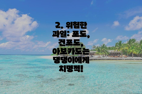 2. 위험한 과일: 포도, 건포도, 아보카도는 댕댕이에게 치명적!