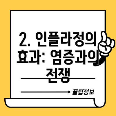 2. 인플라정의 효과: 염증과의 전쟁