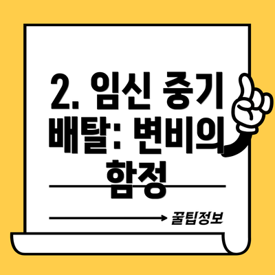 2. 임신 중기 배탈: 변비의 함정