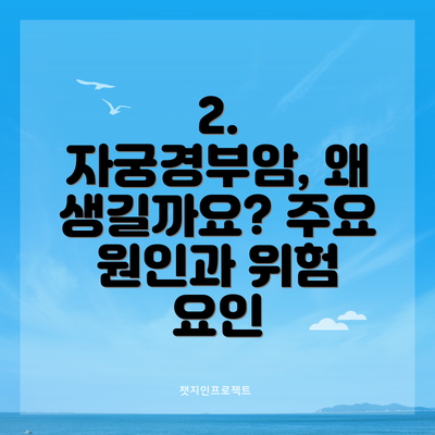 2. 자궁경부암, 왜 생길까요? 주요 원인과 위험 요인