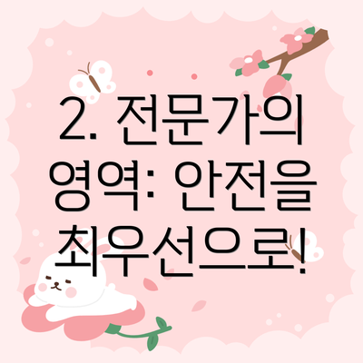 2. 전문가의 영역: 안전을 최우선으로!