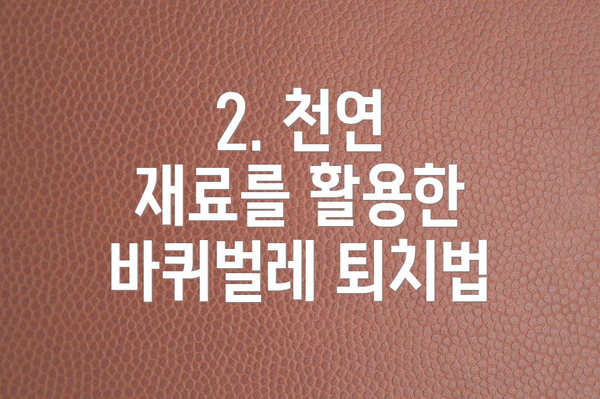 2. 천연 재료를 활용한 바퀴벌레 퇴치법
