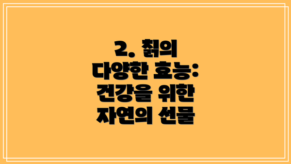 2. 칡의 다양한 효능: 건강을 위한 자연의 선물