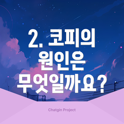 2. 코피의 원인은 무엇일까요?