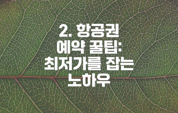 2. 항공권 예약 꿀팁: 최저가를 잡는 노하우